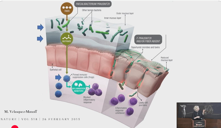 Join the conversation_Comprehensive approach to microbiota analisis interpretation