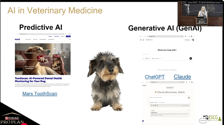 Optimese your day_Essential AI tools for everyday life in clininc