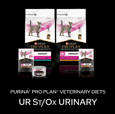 PRO PLAN FELINE UR ST/OX URINARY