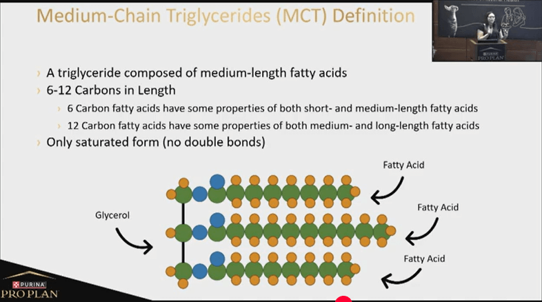 Unbloking Fat Digestion_A Comprehensive Approach to Manage Acute and Chronic Gastrointestinal Diseases in Dogs and Cats