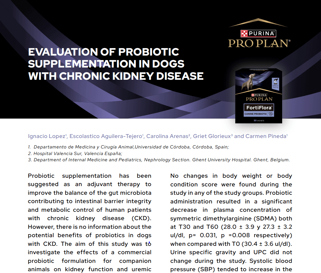 Evaluation of Probiotic Supplementation in Dogs with Chronic Kidney Disease