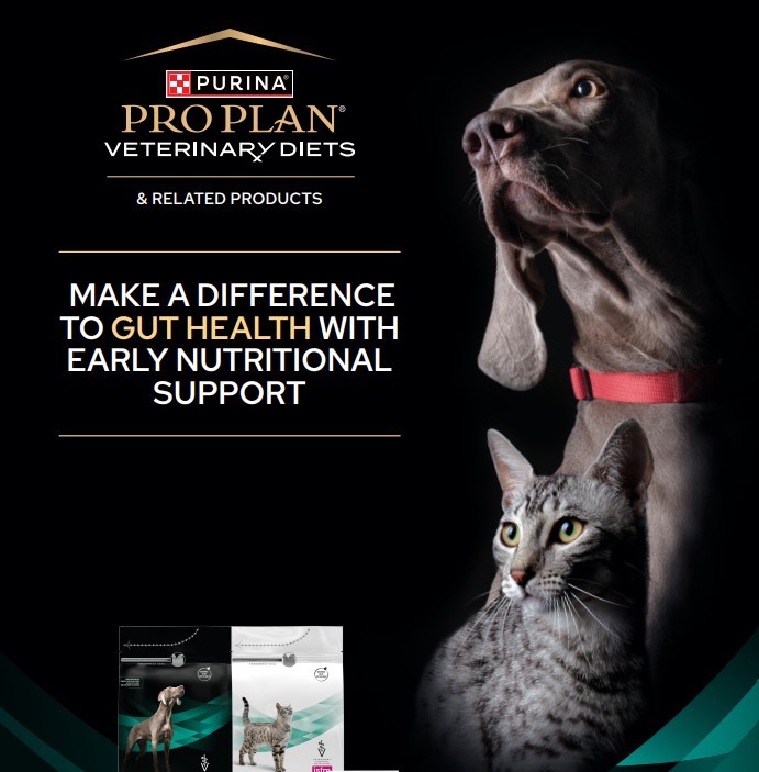 Gastrointestinal Condition Support