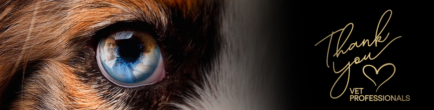 Thank You vet professionals