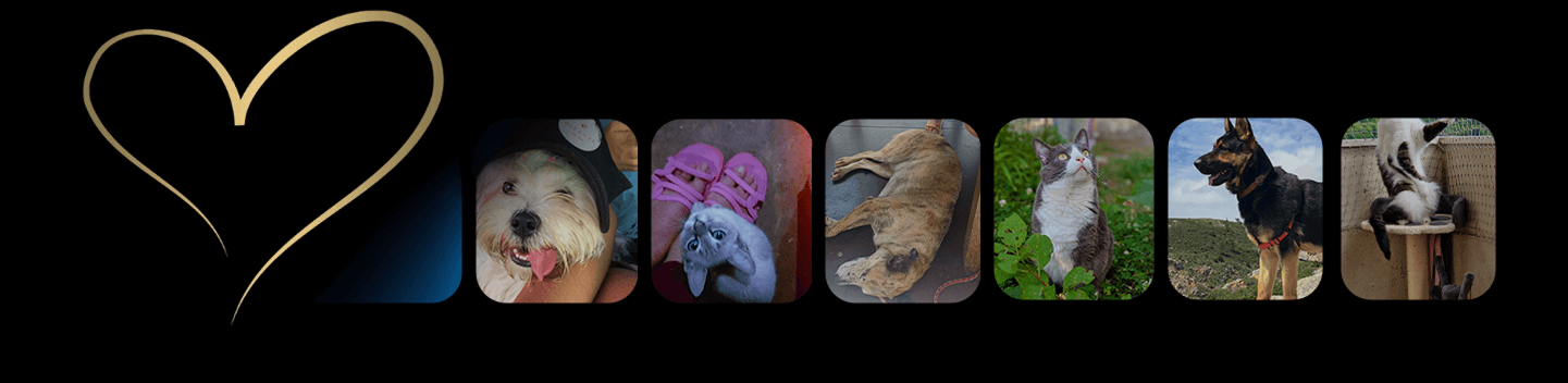 We see your care and support