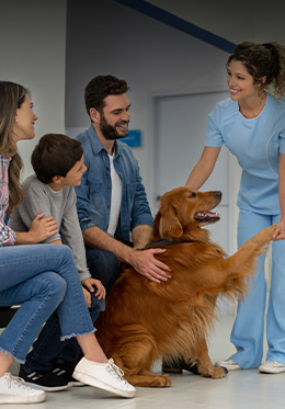 Family with a dog and a veterinarian