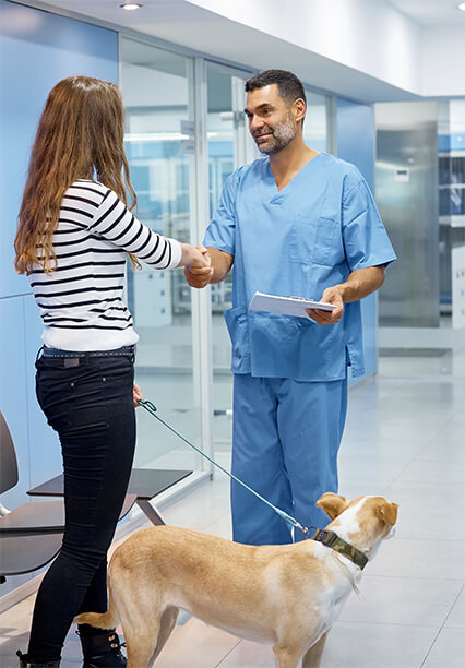 A veterinarian and a client shake hands in a clean clinic environment, with a dog present.