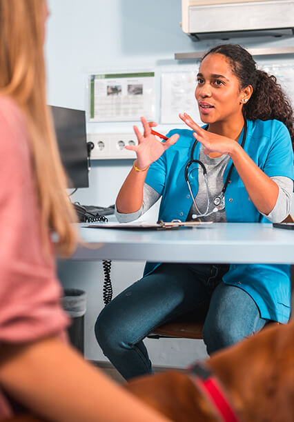 Veterinarian giving news