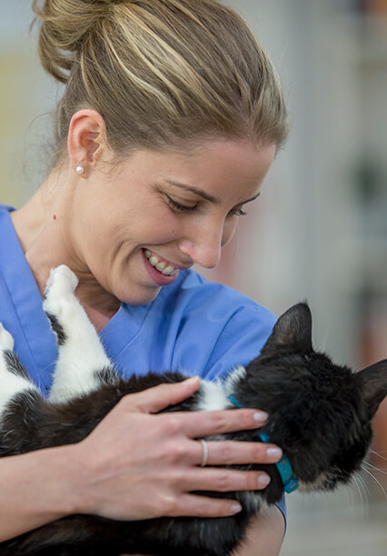 Smiling veterinarian carrying a cat
