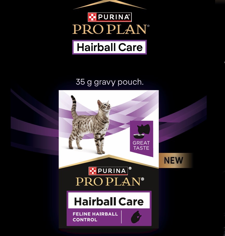 Pro plan