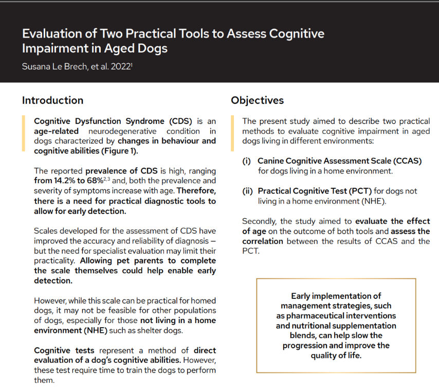 Evaluation of Two Practical Tools to Assess Cognitive Impairment in Aged Dogs