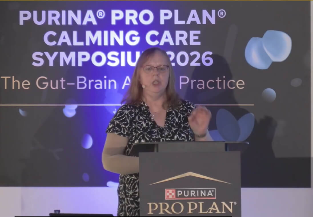 Understanding Canine Stress and Anxiety: Causes and Impacts on Our Dogs by Dr Sarah Heath
