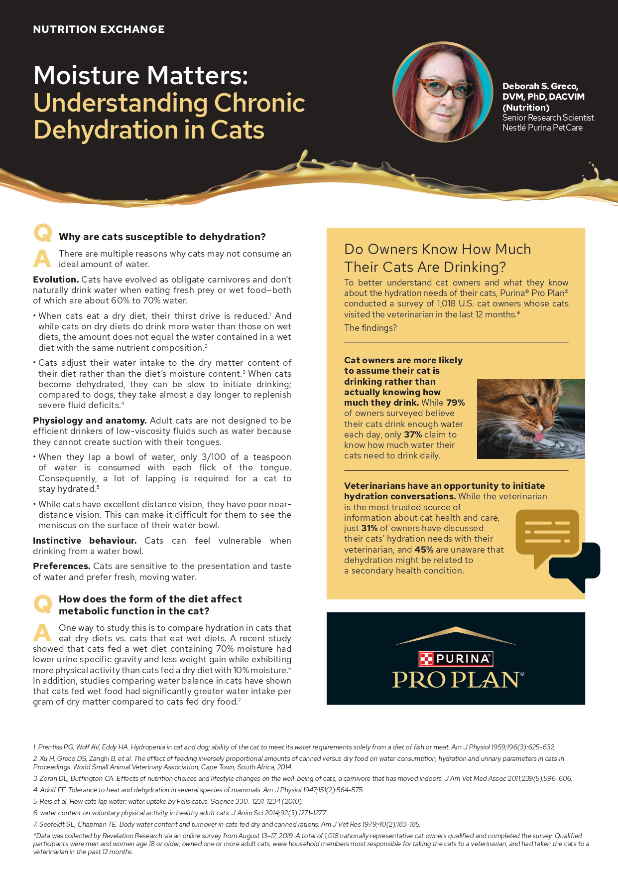 Moisture Matters Understanding Chronic Dehydration in Cats