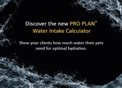 Pro plan Vet diet