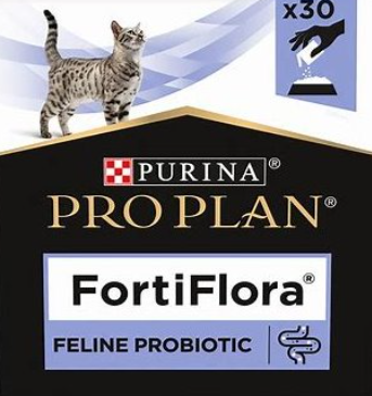 FF cat