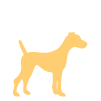 medium dog icon