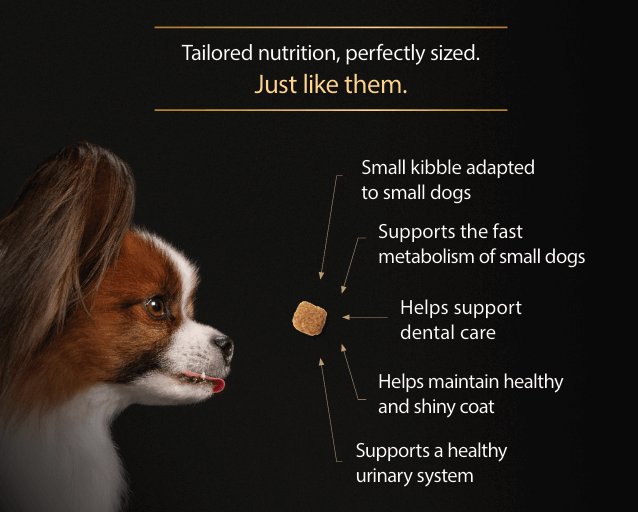 Pro plan Vet diet