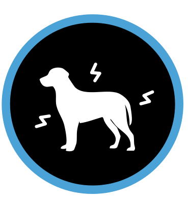 Proven to help dogs cope with external stressors