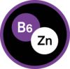 Vitamin B6 and Zinc icon