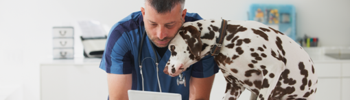 Background Vet Center