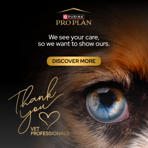 Thank You Vet Banner