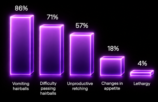 graphic