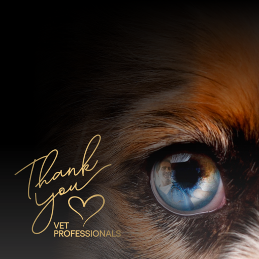 thanks-vet-banner-mobile